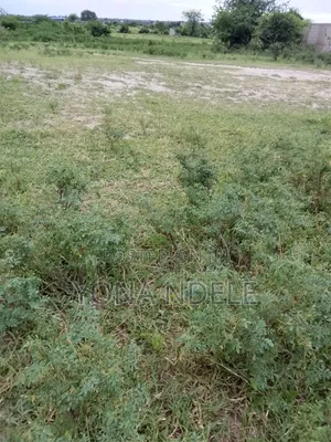 365 Hectares Farmland for Sale, Njombe Lupembe