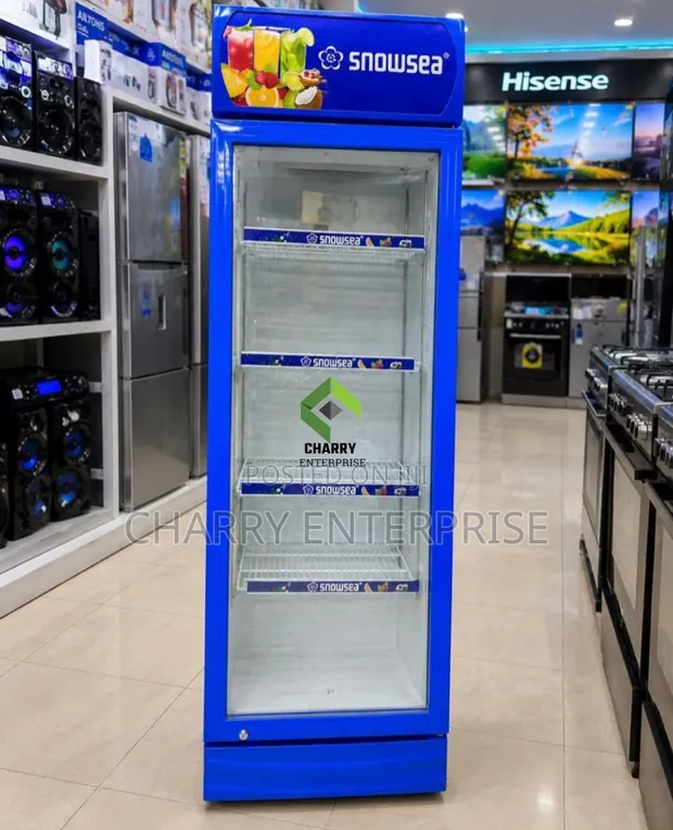 Friji la Kuonyesha la Biashara la Snowsea 280L - 1