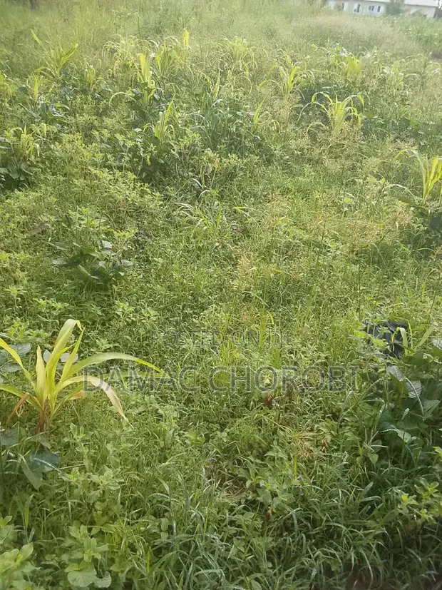 Maeneo Bora kwa Ajili ya Uuzaji Mkuranga, Pwani (Eka 6.5 na 6) - 1