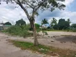 Maeneo Bora kwa Ajili ya Uuzaji Mkuranga, Pwani (Eka 6.5 na 6) - 3