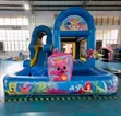 Jumping Castle Combo Bounce House with Slide & Splash Pool - 1
