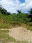 14,000 Acre Farm for Sale in Ruvuma, Songea - 1