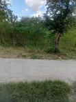 14,000 Acre Farm for Sale in Ruvuma, Songea - 3