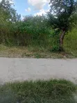 14,000 Acre Farm for Sale in Ruvuma, Songea - 4