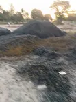 Kokoto Nyeusi / Black Gravel - 1