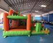 Heavy Duty Water Slide Jumping Castle - 4