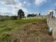 Land for Sale Kigamboni Mikwambe - 4