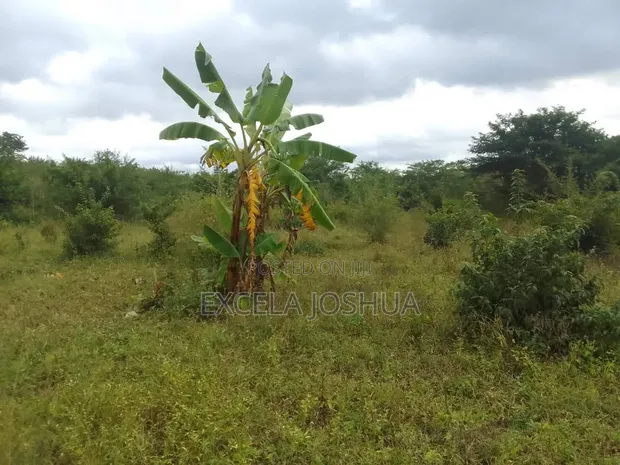 6 Acres Land for Sale, Mbwewe Chalinze - 1