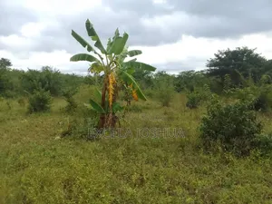6 Acres Land for Sale, Mbwewe Chalinze
