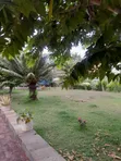 5-Bedroom Bungalow for Rent in Njiro, Arusha - 4
