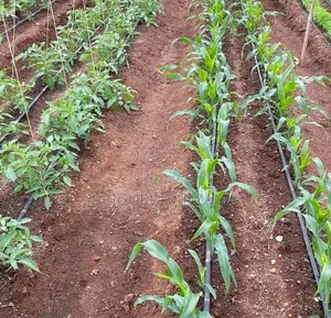 30cm Drip Tape for Irrigation