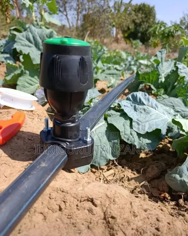 Egg Shape Sprinkler - 1