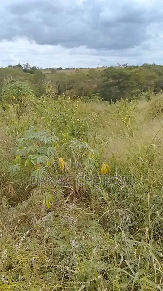 6 Acres Farm Land for Sale, Miono, Chalinze - 1