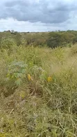 6 Acres Farm Land for Sale, Miono, Chalinze - 1
