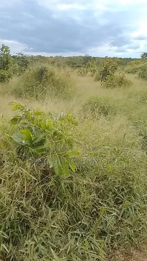 6 Acres Farm Land for Sale, Miono, Chalinze