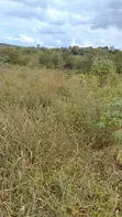 6 Acres Farm Land for Sale, Miono, Chalinze - 3