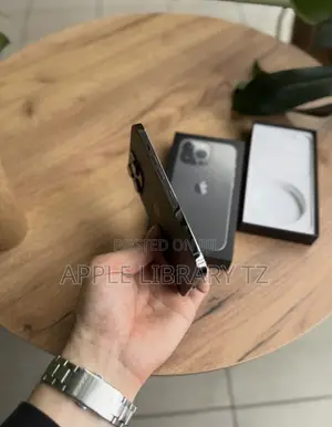 Apple iPhone 13 Pro 256GB Mpya Nyeusi