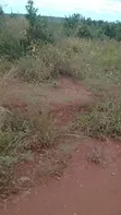 159 Acre Farm for Sale, Mihono Pwani - 1