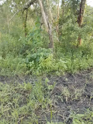 159 Acre Farm for Sale, Mihono Pwani