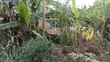 3-Bedroom House for Sale in Kigamboni, Mwasonga - 3