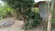 3-Bedroom House for Sale in Kigamboni, Mwasonga - 5