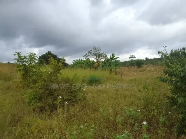 6 Acres Farm for Sale in Mbwewe, Chalinze - 1