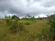 6 Acres Farm for Sale in Mbwewe, Chalinze - 1