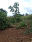 6 Acres Farm for Sale in Mbwewe, Chalinze - 3