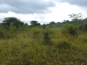 6 Acres Farm for Sale in Mbwewe, Chalinze