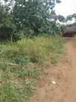 6 Acres Farm for Sale in Mbwewe, Chalinze - 5