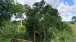 20 Acres Farm Land for Sale in Chalinze Mbwewe - 1