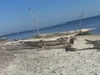 30 Acres Beach Plot for Sale in Bagamoyo Zinga - 1