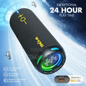 W-King D320 40W Compact Bluetooth Speaker