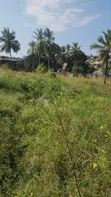 Land for Sale in Goba - Ready for Title Deed - 2