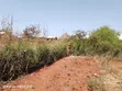Residential Plot for Sale in Bunju - 4