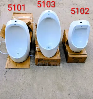Urinal Toilet for Men