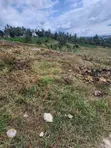 Residential Land for Sale, Goba Center - 4