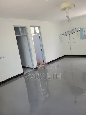 Color Self-Leveling Floor Paint