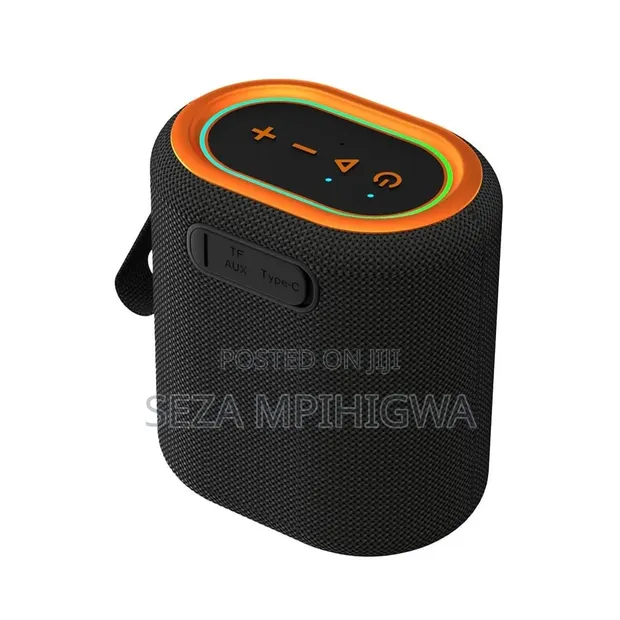 Portable Speaker with Wireless Mic System - 1