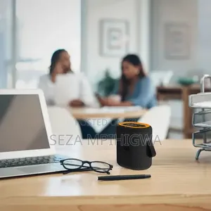 Portable Speaker with Wireless Mic System