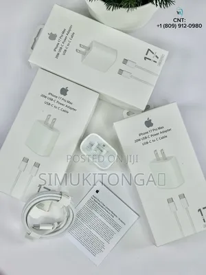 Original iPhone Charger and Power Adapter