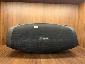 W-King X10 Outdoor Speaker