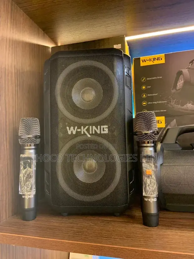 W-King XL-SP929 Karaoke Monster Speaker - 1