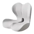 Kitoi cha Kiti cha Gari & Mto wa Mgongo (Memory Foam) - 2