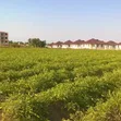 Land Plot for Sale - Watumishi Housing, Geza Ulole, Kigamboni - 2