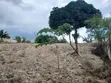 Kiwanja cha Ardhi Kinauzwa, Goba Muhimbili, sqm 720 - 5