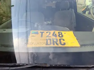 Toyota Porte 2005 Njano
