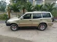 Nissan Terrano 2004 Gold - 4