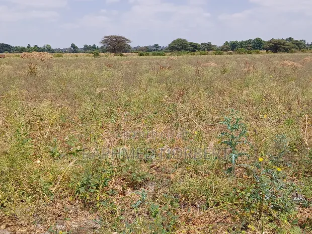 23.9 Acre Farmland for Sale in Arusha - 1