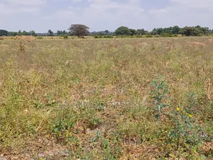 23.9 Acre Farmland for Sale in Arusha